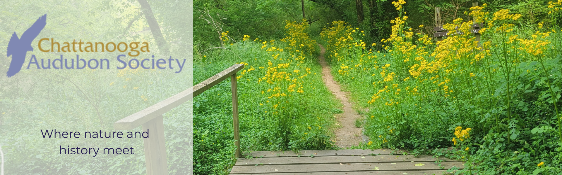 Untitled%20(1920%20x%20800%20px)%20(1920%20x%20600%20px).png